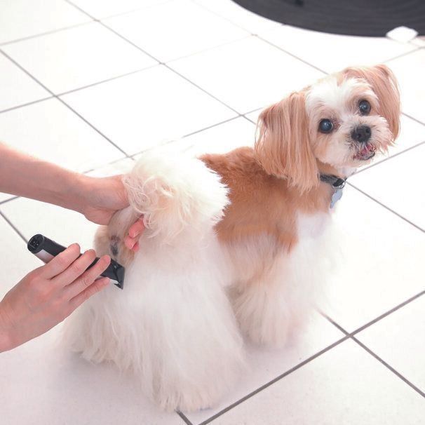 撮影／尾﨑たまき