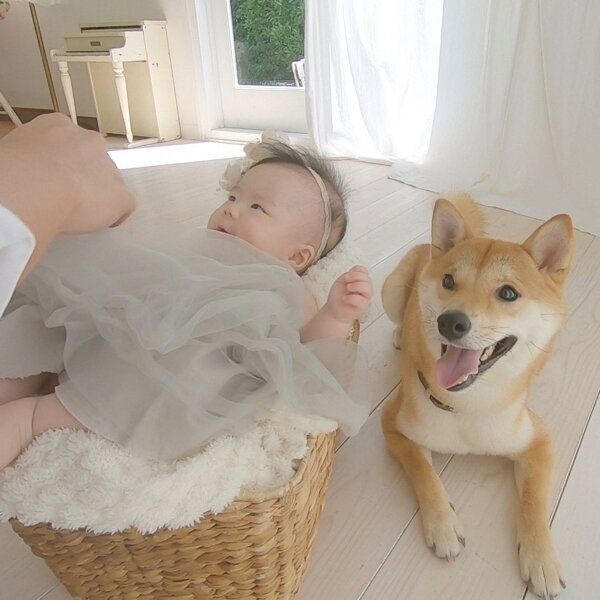 妹ちゃんを見守るりんご郎くん