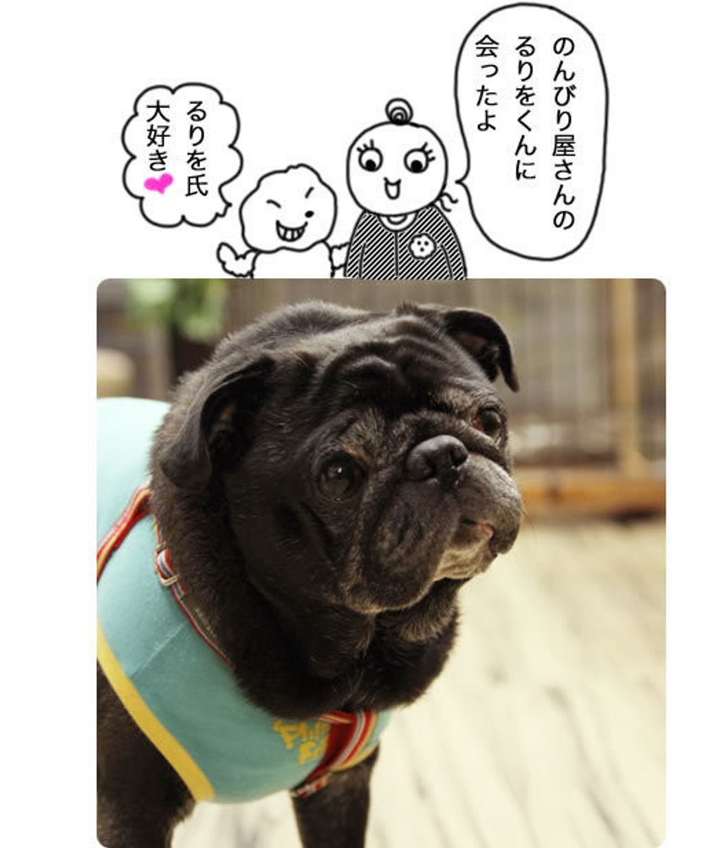 出たっ 黒パグるりをの必殺 お地蔵返し マシューとマルモともだち100わんできるかな いぬのきもちweb Magazine 出たっ 黒パグるりをの必殺 お地蔵返し マシューとマルモともだち100わんできるかな いぬのきもちweb Magazine