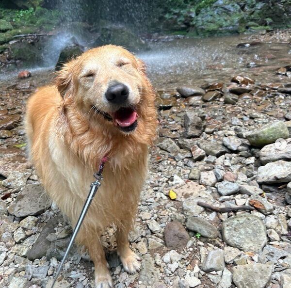 笑顔が可愛いハルちゃん