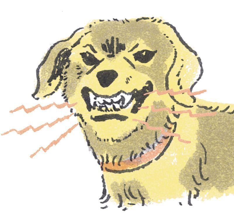 歯をむき出す／うなる