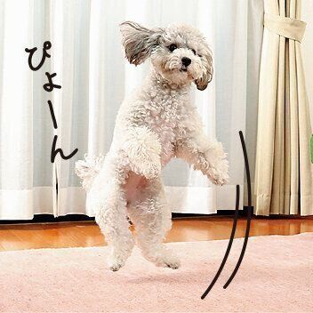 骨・関節の病気の原因に