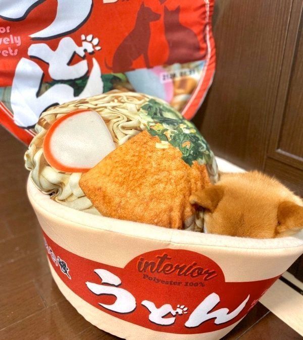 きつねうどんの「おあげ」のようになったゆきちゃん