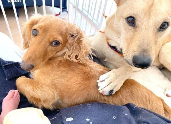 寄り添うりくちゃんとらむちゃん