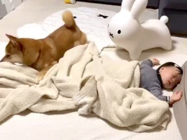 妹ちゃんに添い寝するりんご郎くん