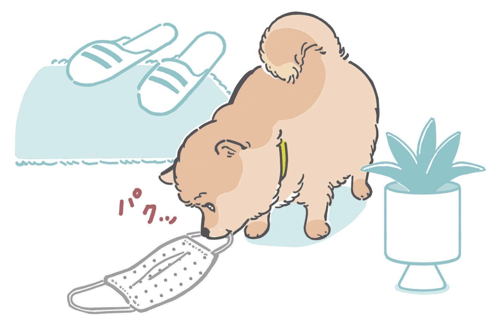 イラスト／坂本 彩