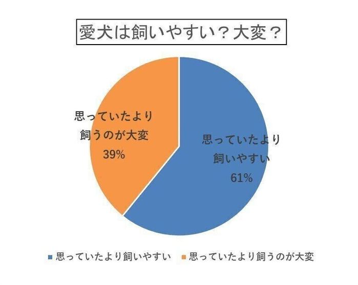 愛犬は飼いやすい?大変?