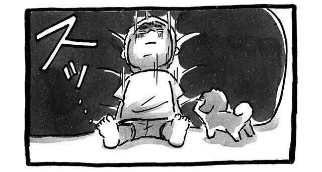 シーズー犬マンガてんぽshihtzu