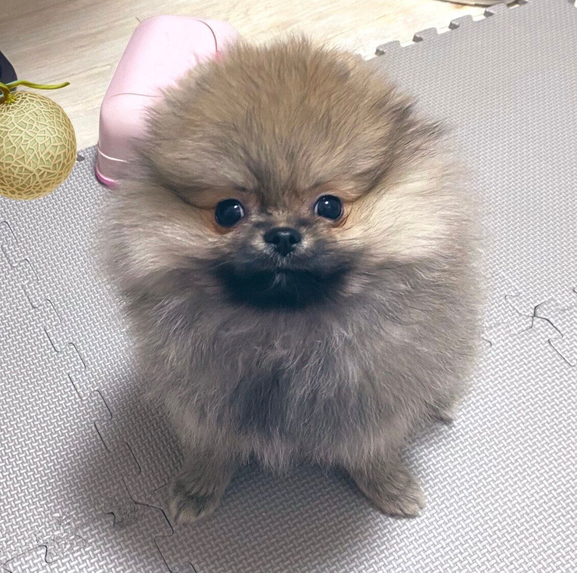 生後3カ月のころのあもくん