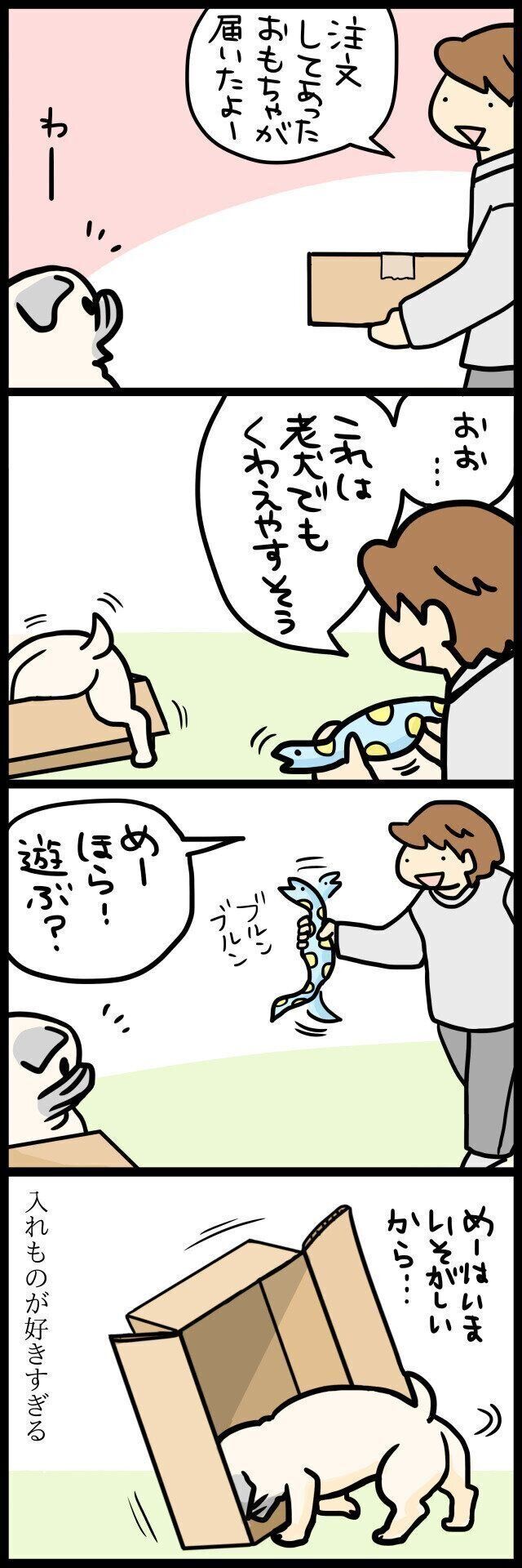【連載】パグ犬めー