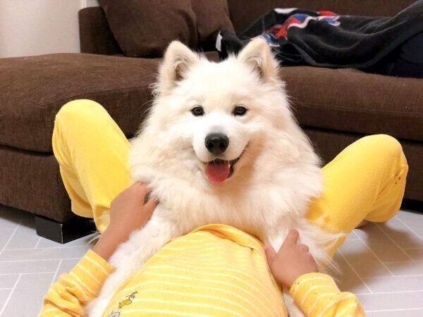 笑顔のサニーちゃん