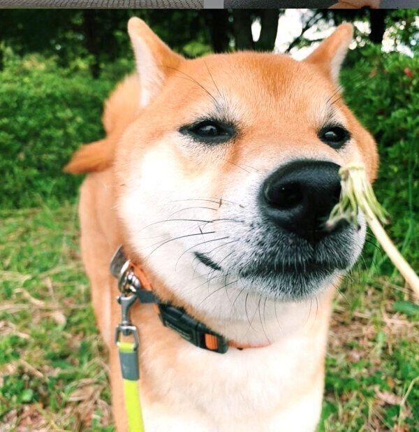 なんともいえない表情をするさくちゃん