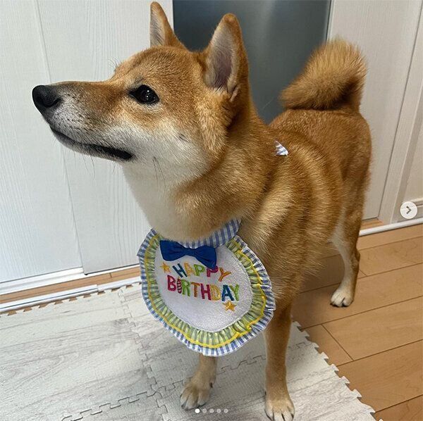 1才になったはじめくん