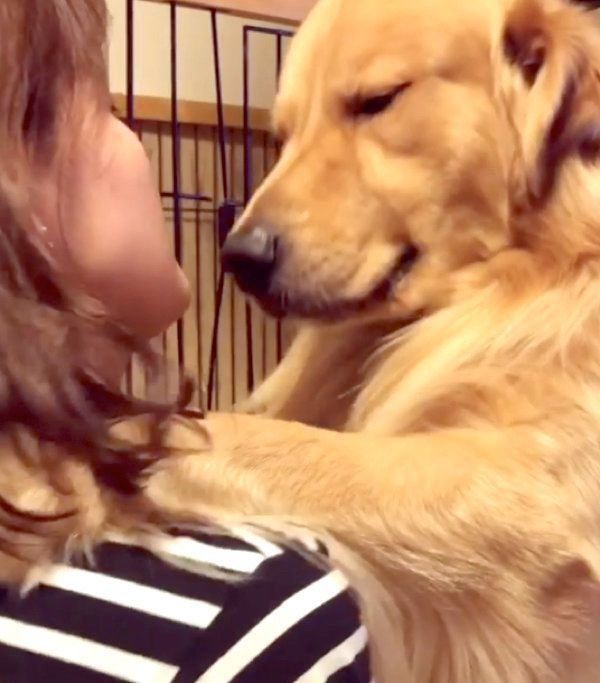 飼い主さんに「大好き」を伝える福ちゃん