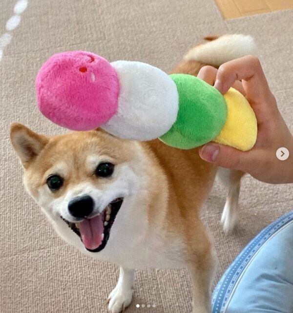 笑顔が可愛いすずちゃん