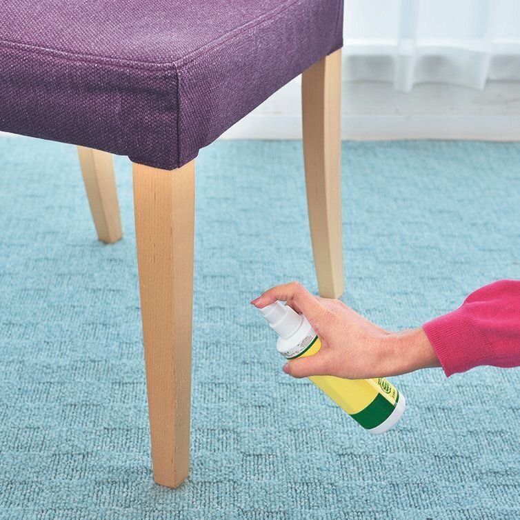 撮影／佐藤正之