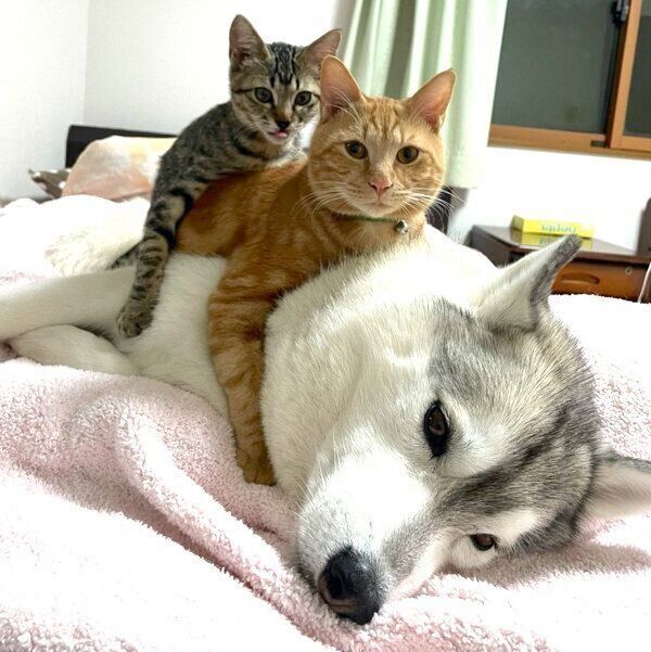 仲良しなユキちゃん、レンくん、サンくん