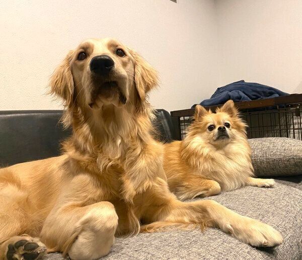 まったりするらん丸くんとぽん吉くん