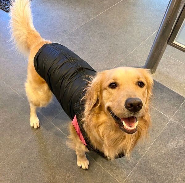 笑顔のこはるちゃん