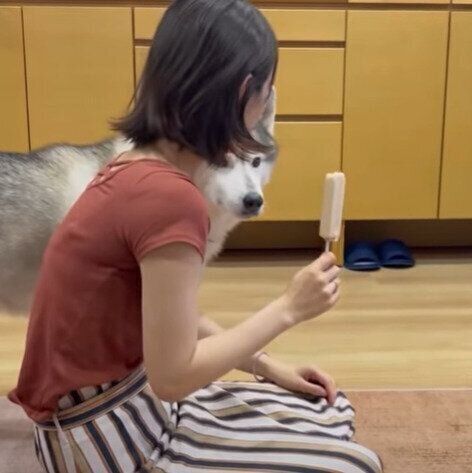 アイスをガン見する文太くん