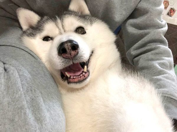 いいお顔をするシルビアちゃん