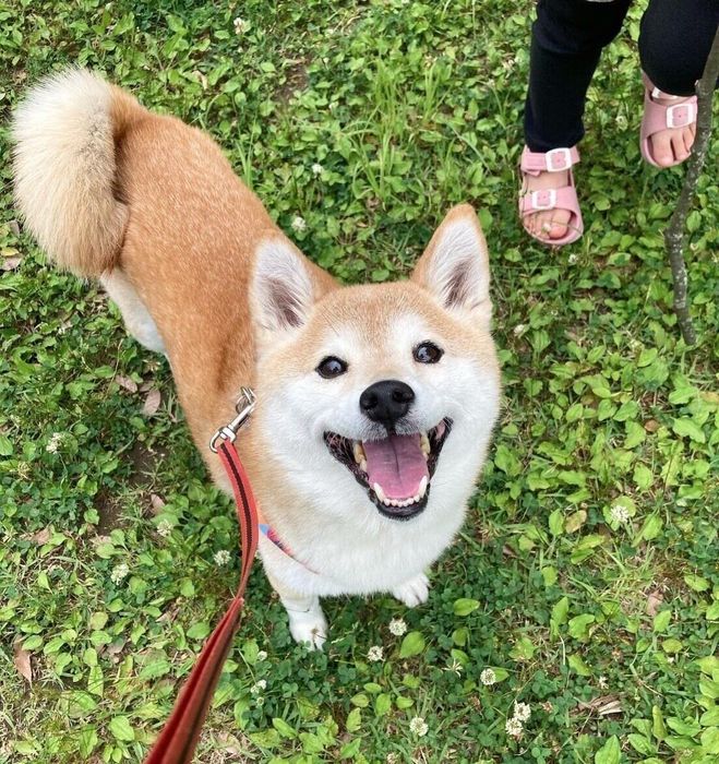 見つめるひよりちゃん