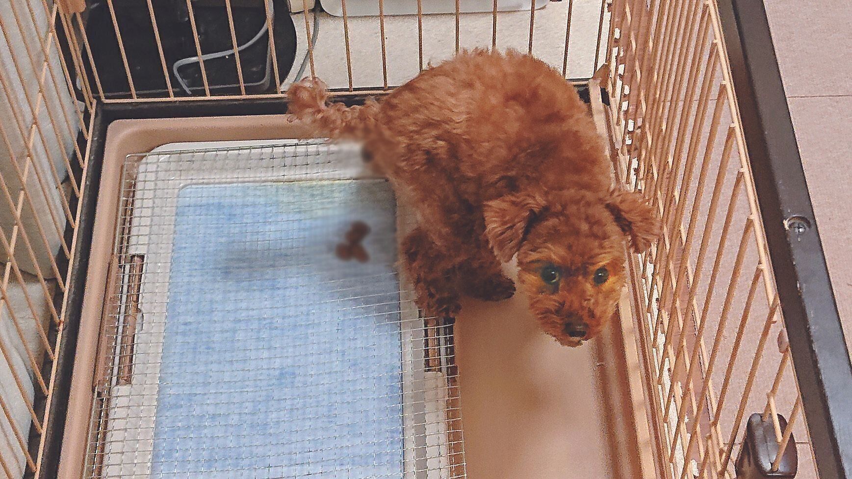 写真提供／Ｊさん