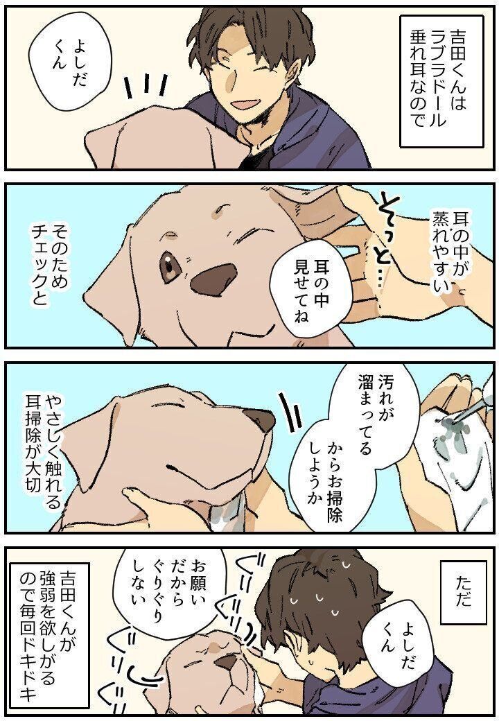 連載漫画【暮瀬姉弟と吉田くん】