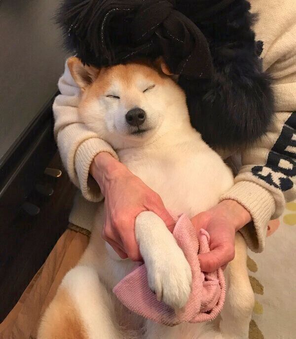 足を拭いてもらうこたろうくん