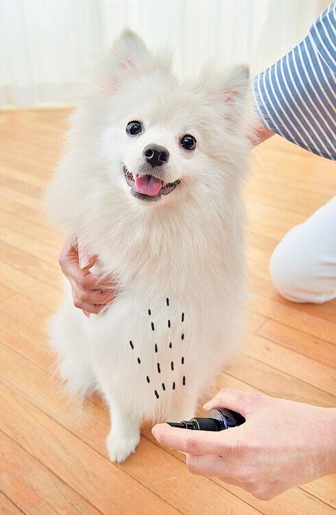 スプレーでクールダウン