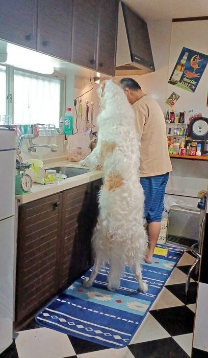 立ち上がってのぞき込むヴィスナーくん