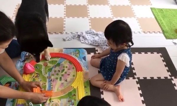 柴犬と子どもたち