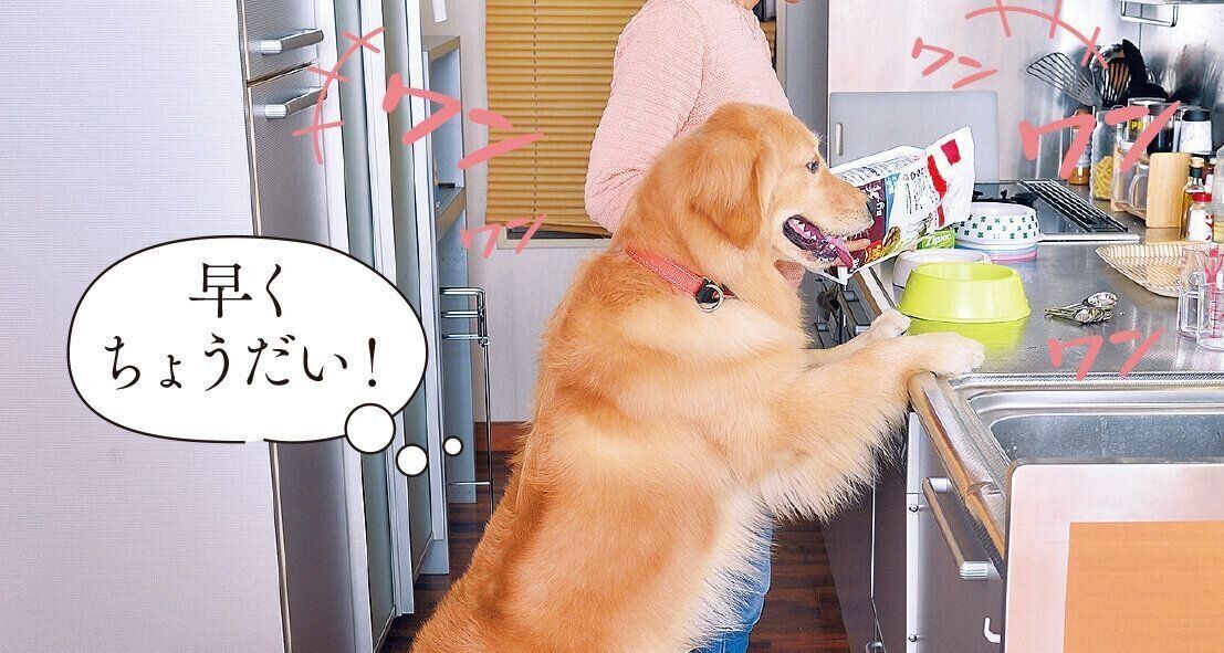 撮影／佐藤正之