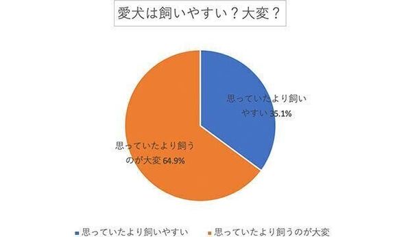 愛犬は飼いやすい? 大変?
