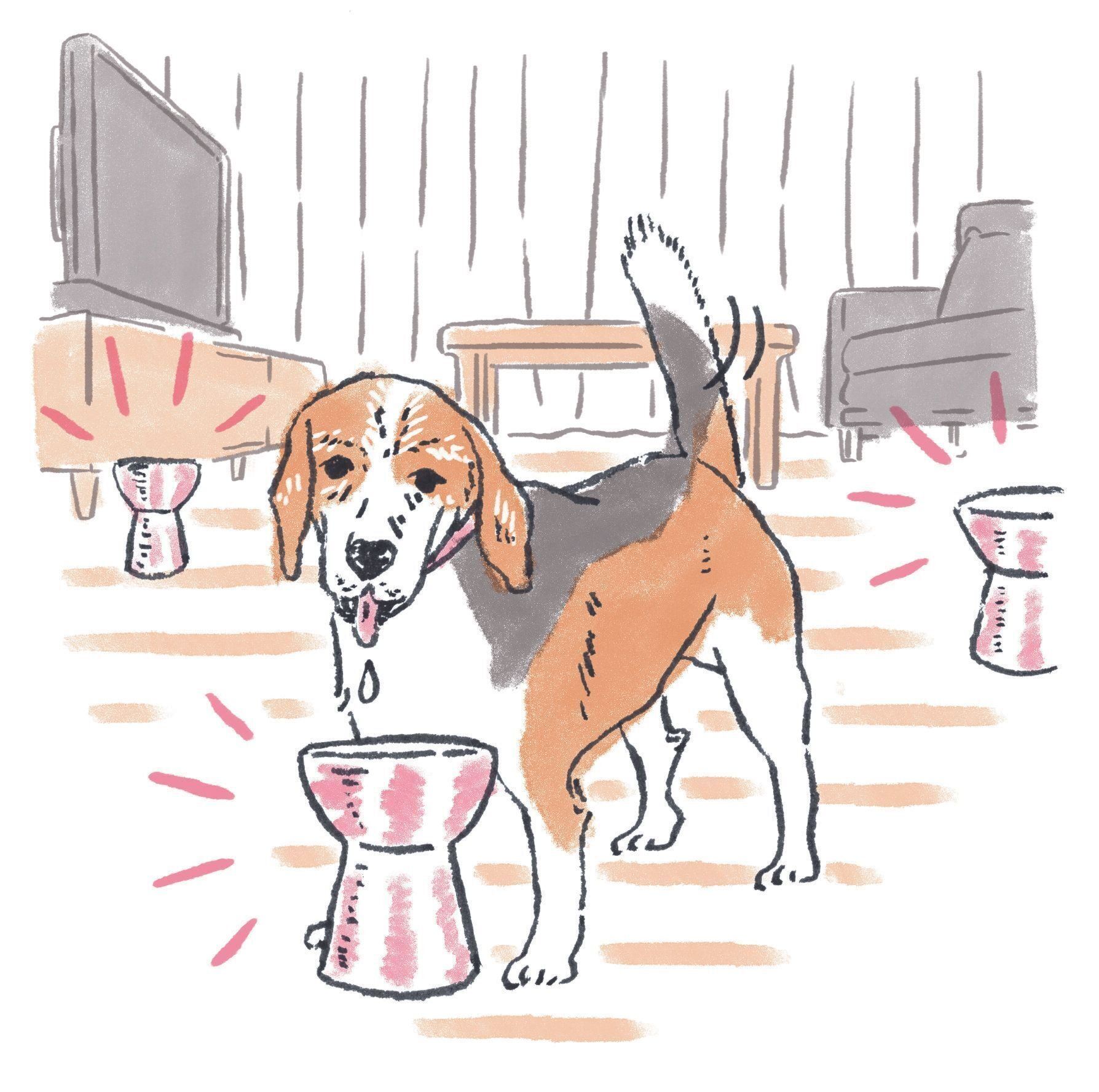 イラスト／naohiga