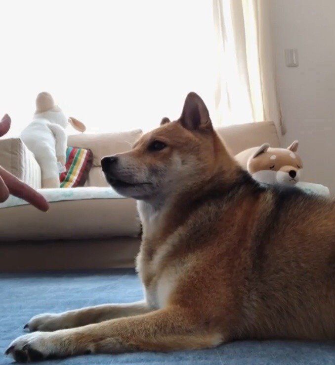 銃口を向けられたシーンを演じるふくちゃん