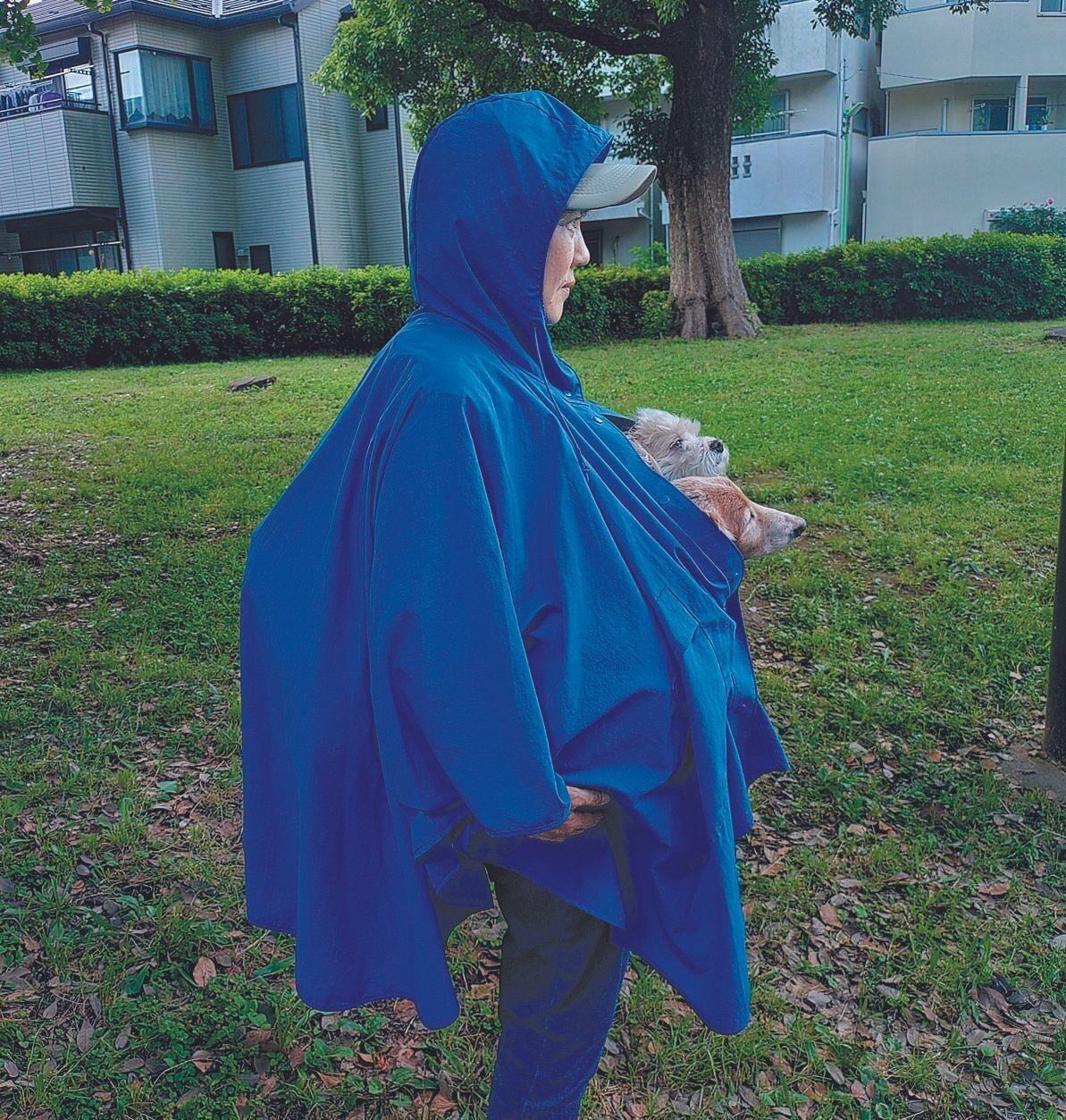 犬や大きな荷物も濡らさない！