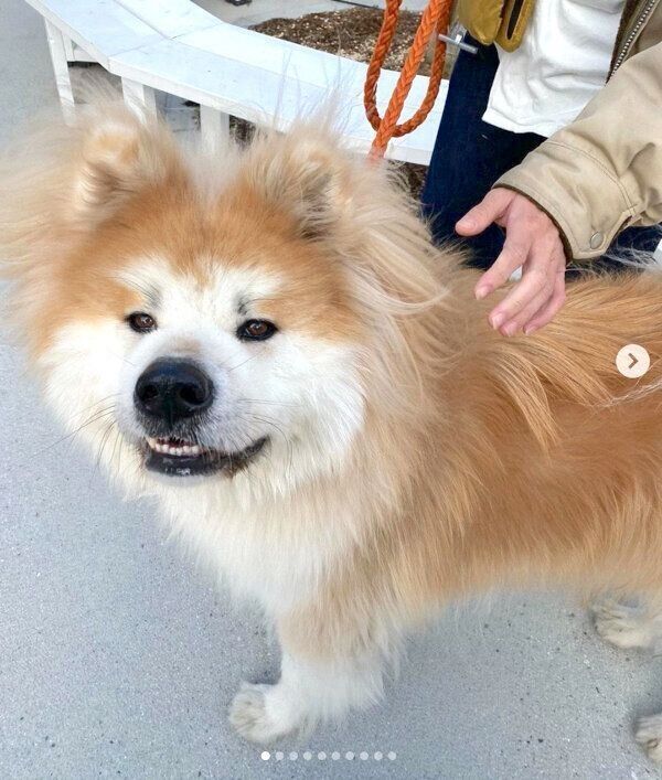 ニッと笑うボブくん