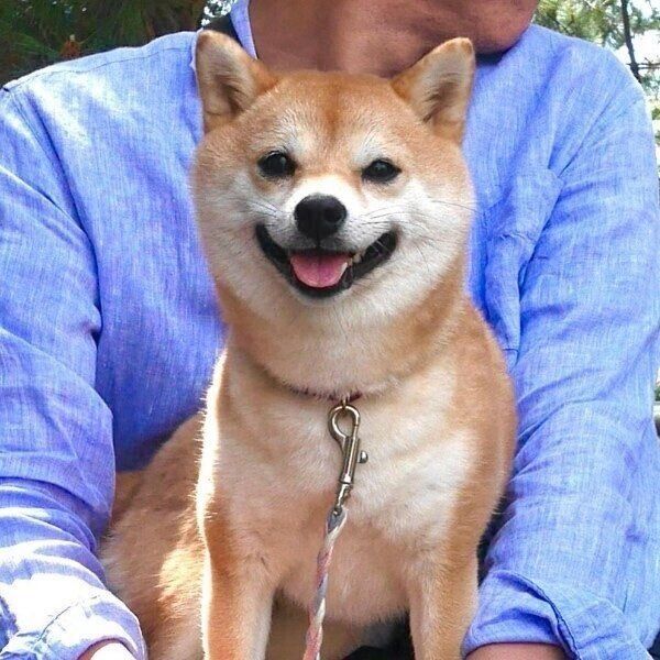 カメラに向かってキメポーズのモモちゃん