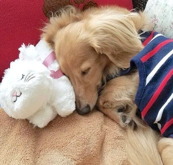 ぐっすり眠る伶音ちゃん