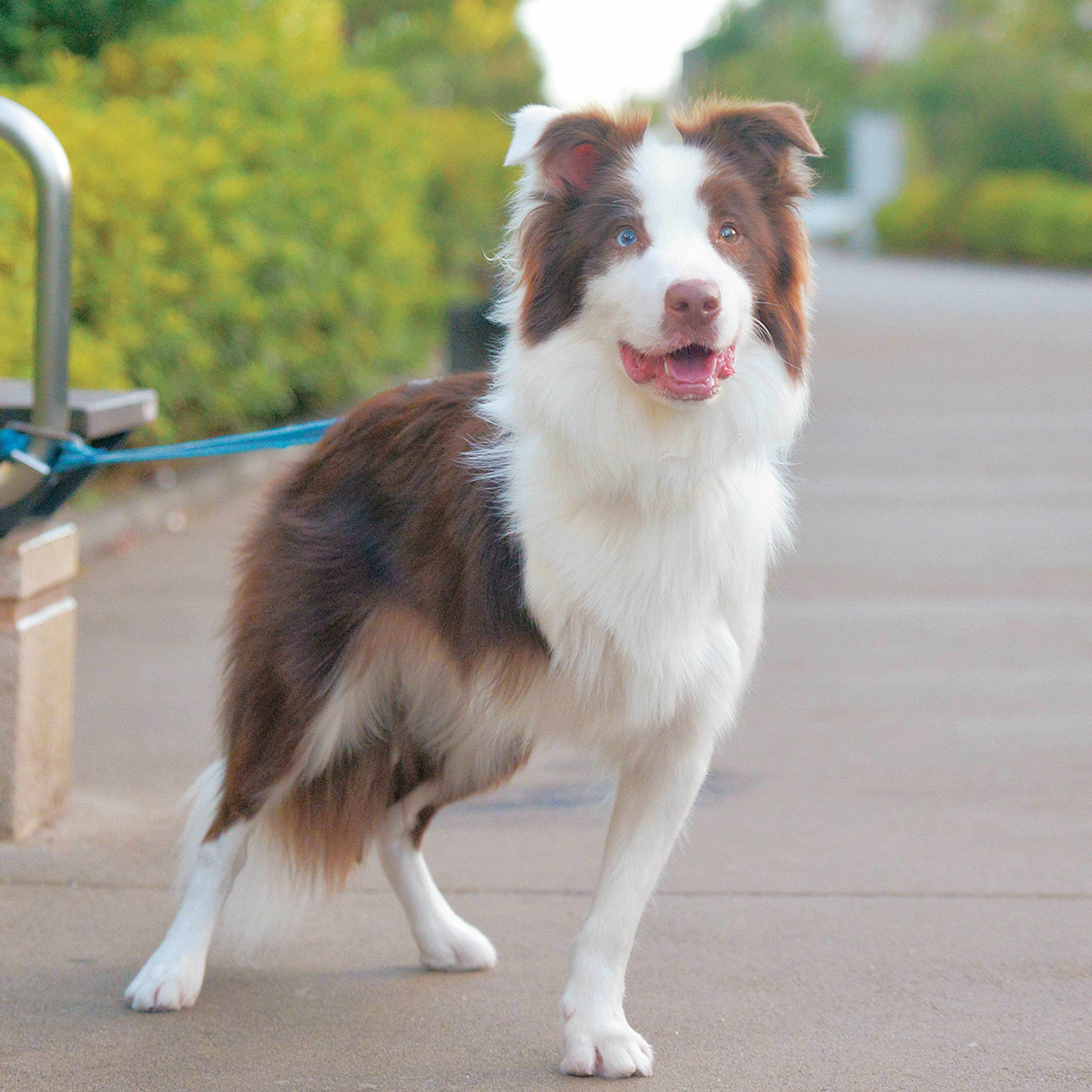 撮影／犬丸美絵