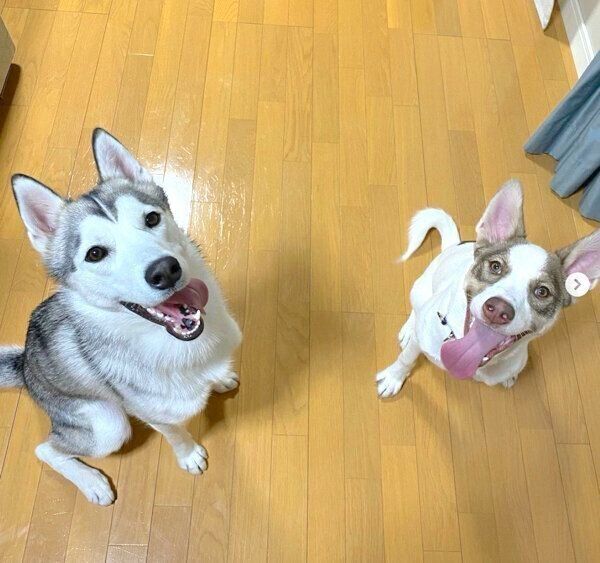 笑顔のバロンくん、シエルちゃん