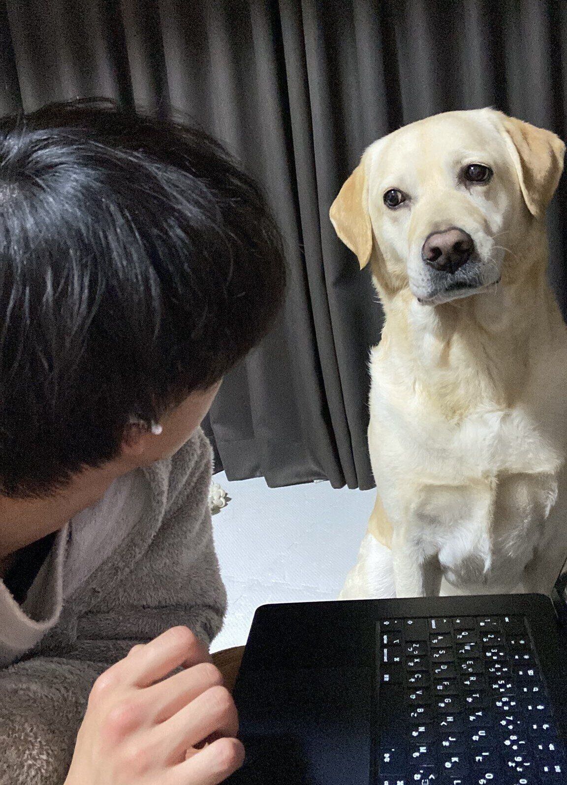 「もの言いたげな目」で見つめるロキくん