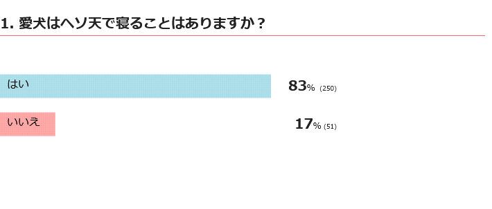 愛犬がヘソ天で寝ることはある？