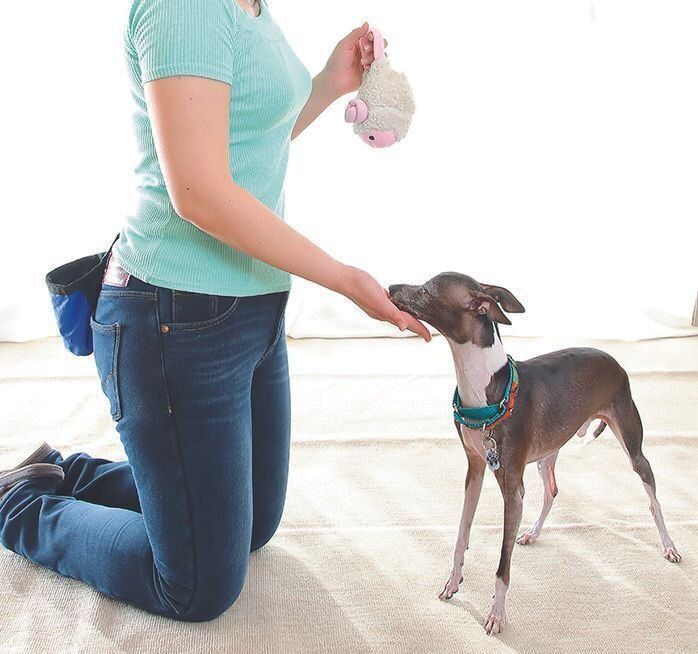 撮影／尾﨑たまき