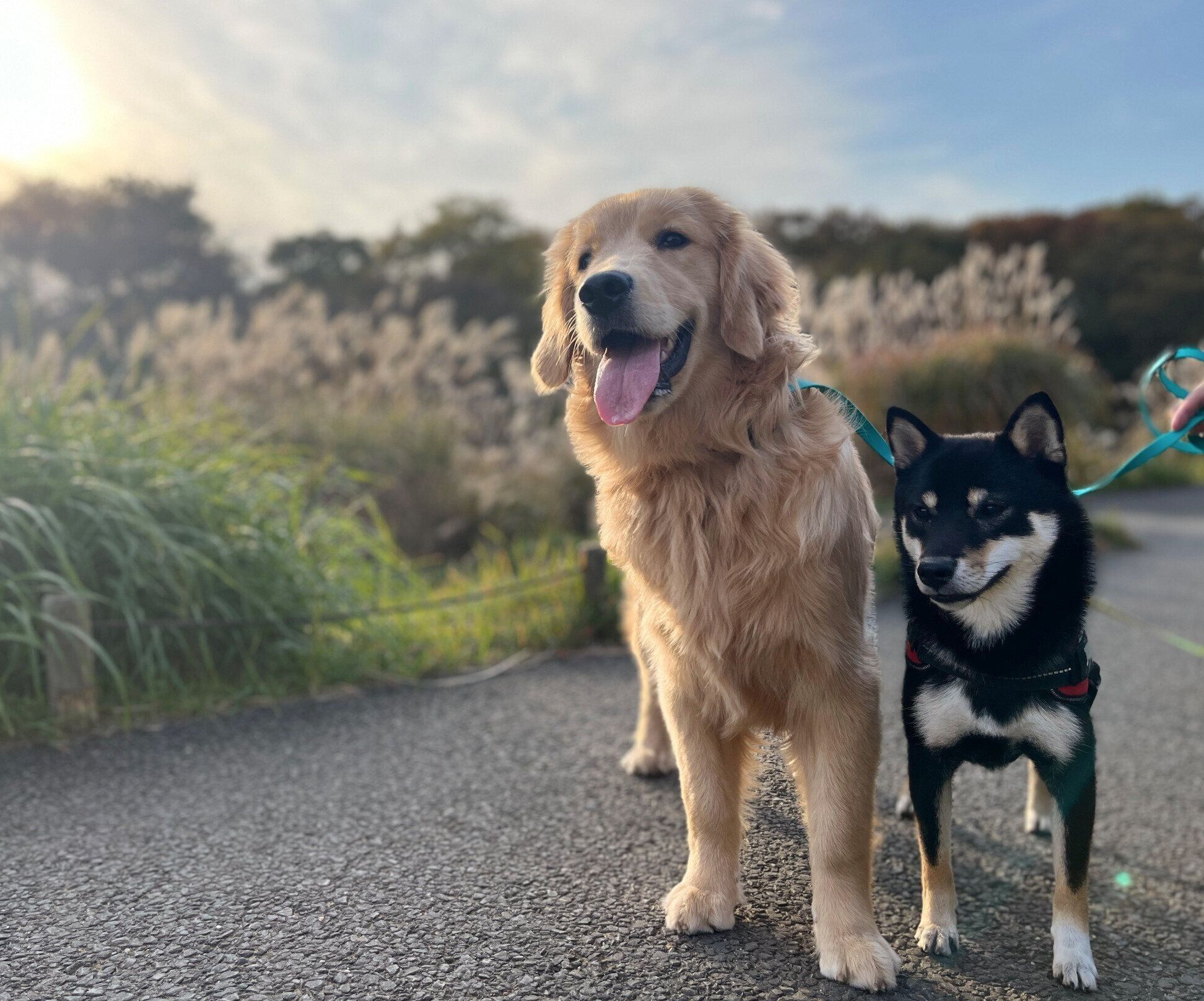 生後7カ月のころに撮影した陽南ちゃん