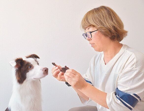 足の関節に負担をかけないよう、体重管理には気をつけ、フードとおやつは低カロリーのものに