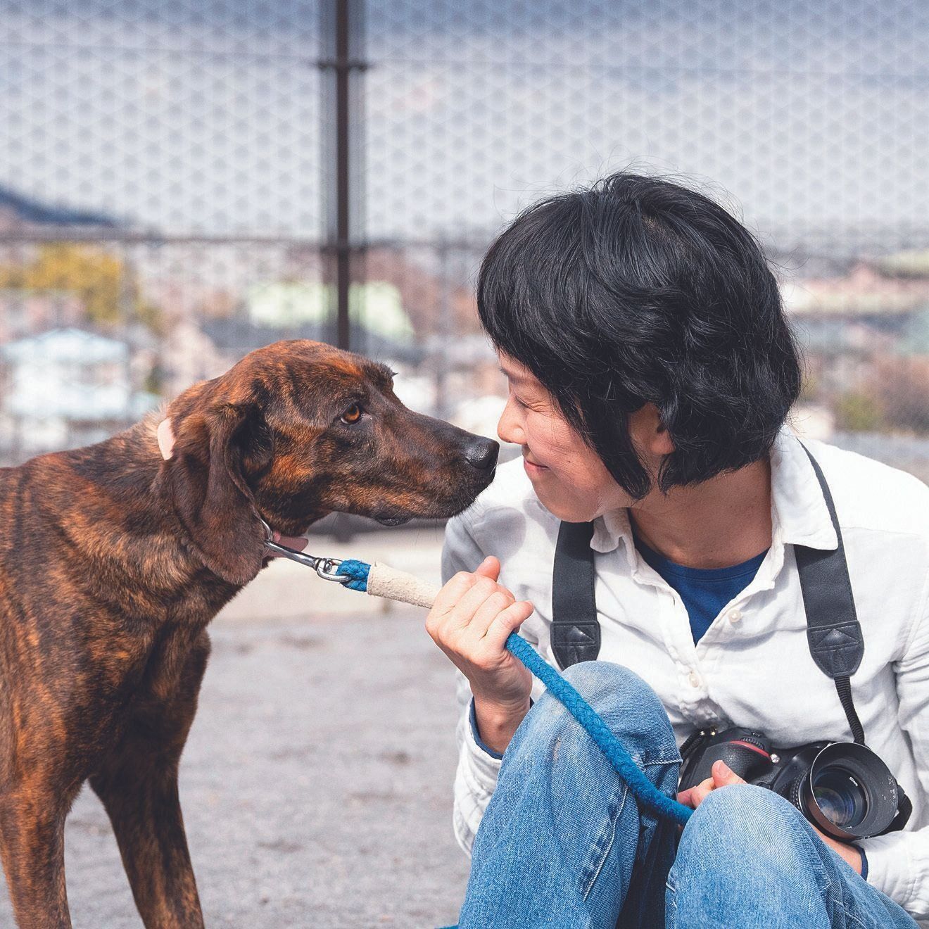 写真家・犬丸美絵さん。取材当日、約３年ぶりに神奈川県動物愛護センターを訪問。収容犬のキヨちゃん（推定３才）は、職員さんにしかなつかないのに、犬丸さんは10分で仲よしに