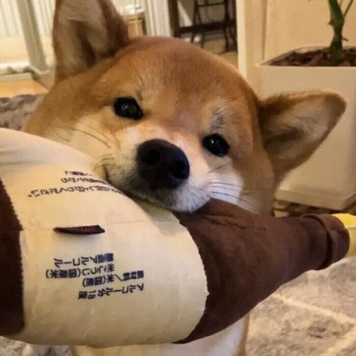 ご機嫌なこんくん