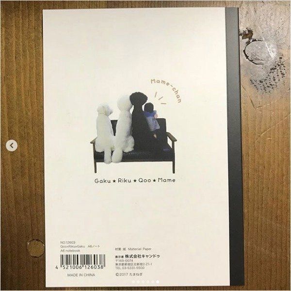 スタンダード・プードル